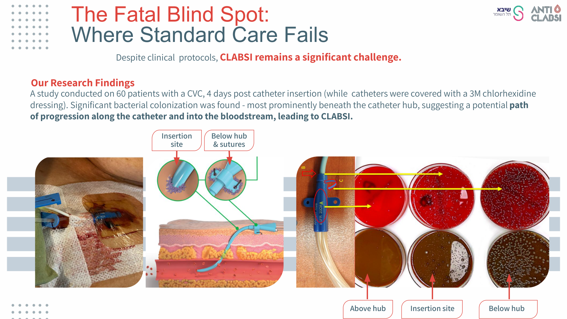 Slide 5