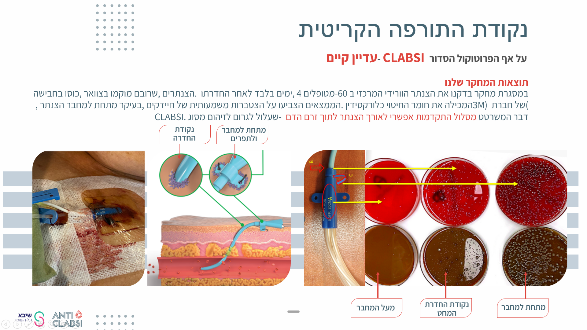 שקף 6